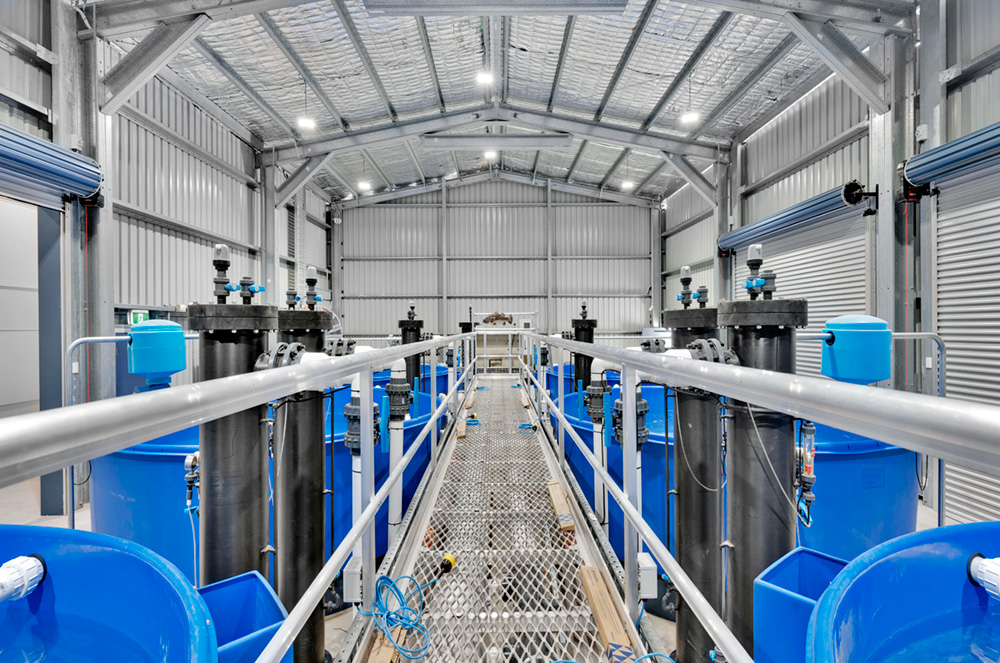 All the tanks at Aqua Culture Centre for Barramundi Research